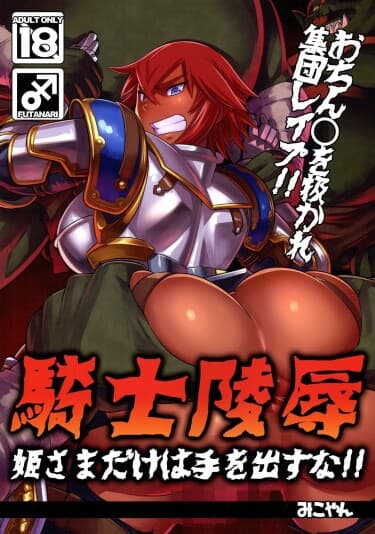 騎士陵辱 姫さまだけは手を出すな!!
기사능욕 공주님만은 손대지 마!!