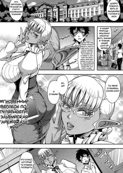 Гарем в академии эльфов