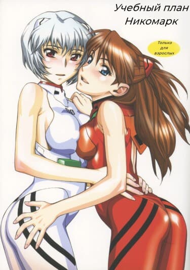 Учебный план Никомарк